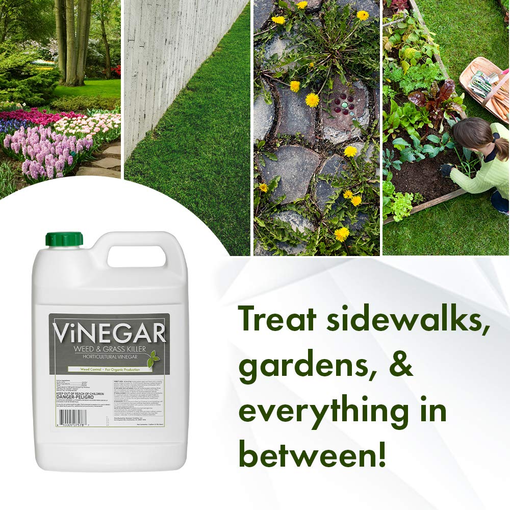 Energen sprayer nozzle applying weed killer to driveway cracks