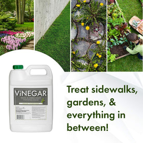Energen sprayer nozzle applying weed killer to driveway cracks