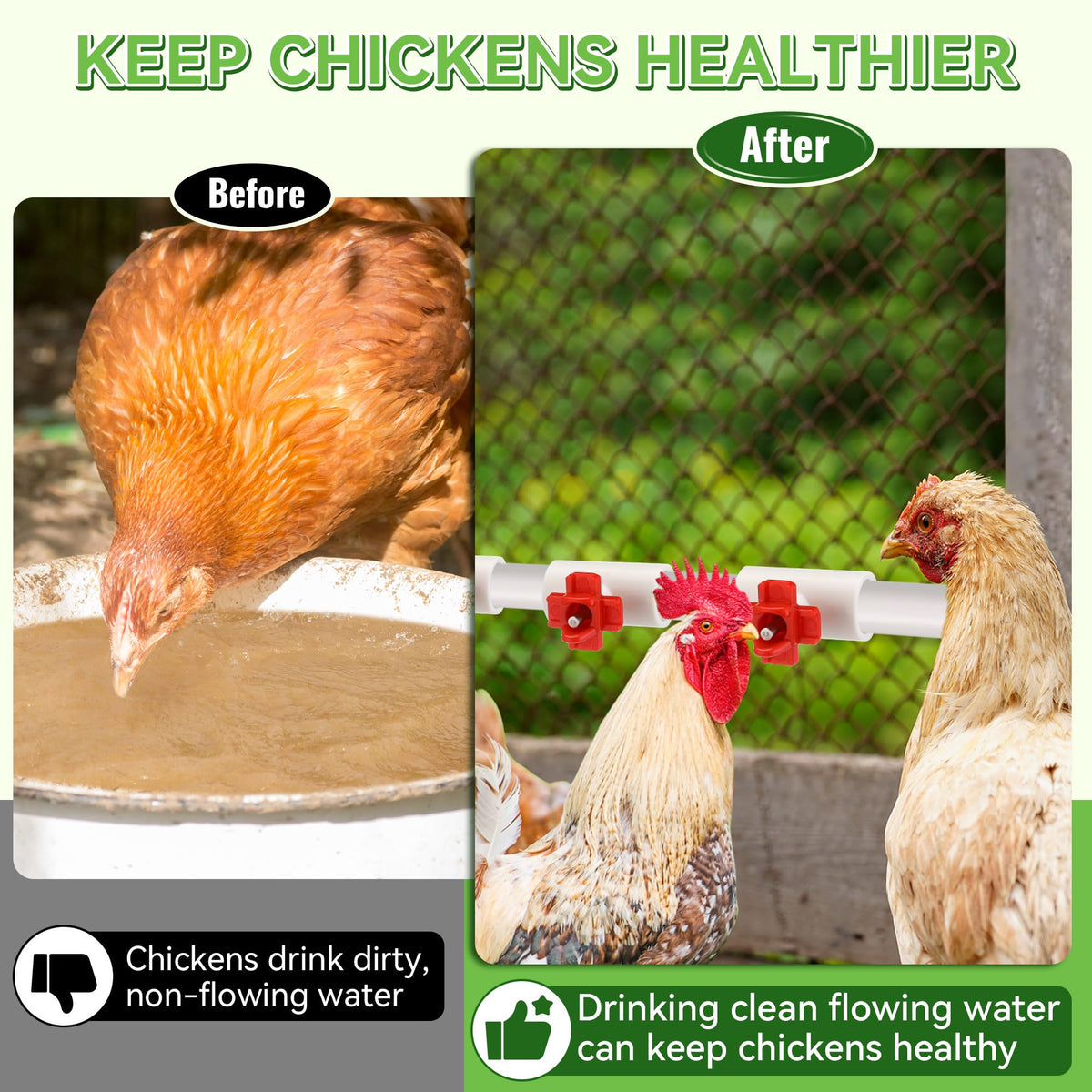 Enhon DIY automatic poultry water feeder highlights hands-free water delivery for busy coops.