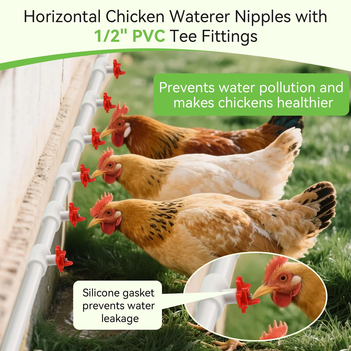 Enhon PVC tee pipes connectors ready for quick, leak-free poultry watering system installation.