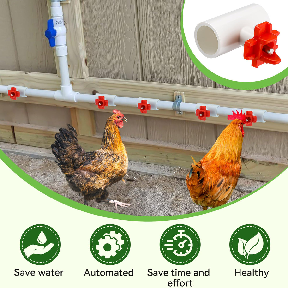 Enhon red drinking nipples attract chickens and simplify training.