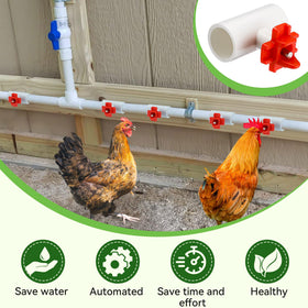 Enhon red drinking nipples attract chickens and simplify training.