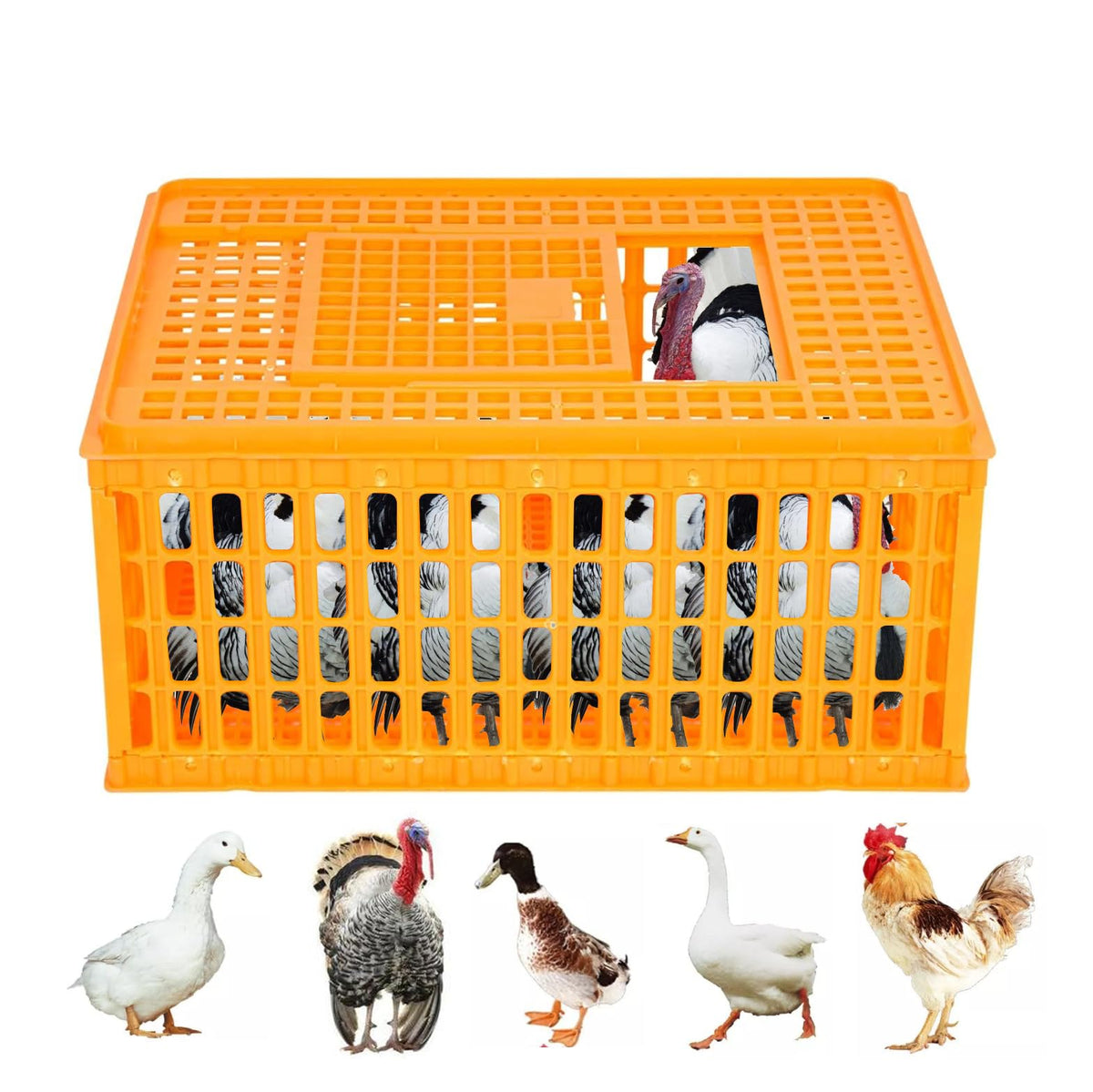 Enjoy Plush Poultry Carrier Crate top view showing spacious interior for multiple birds