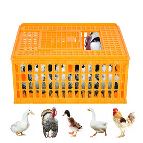 Enjoy Plush Poultry Carrier Crate top view showing spacious interior for multiple birds