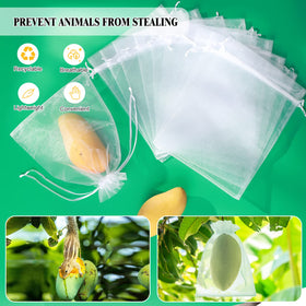 ENNIYU clear barrier bag shows fruit health while keeping bugs out