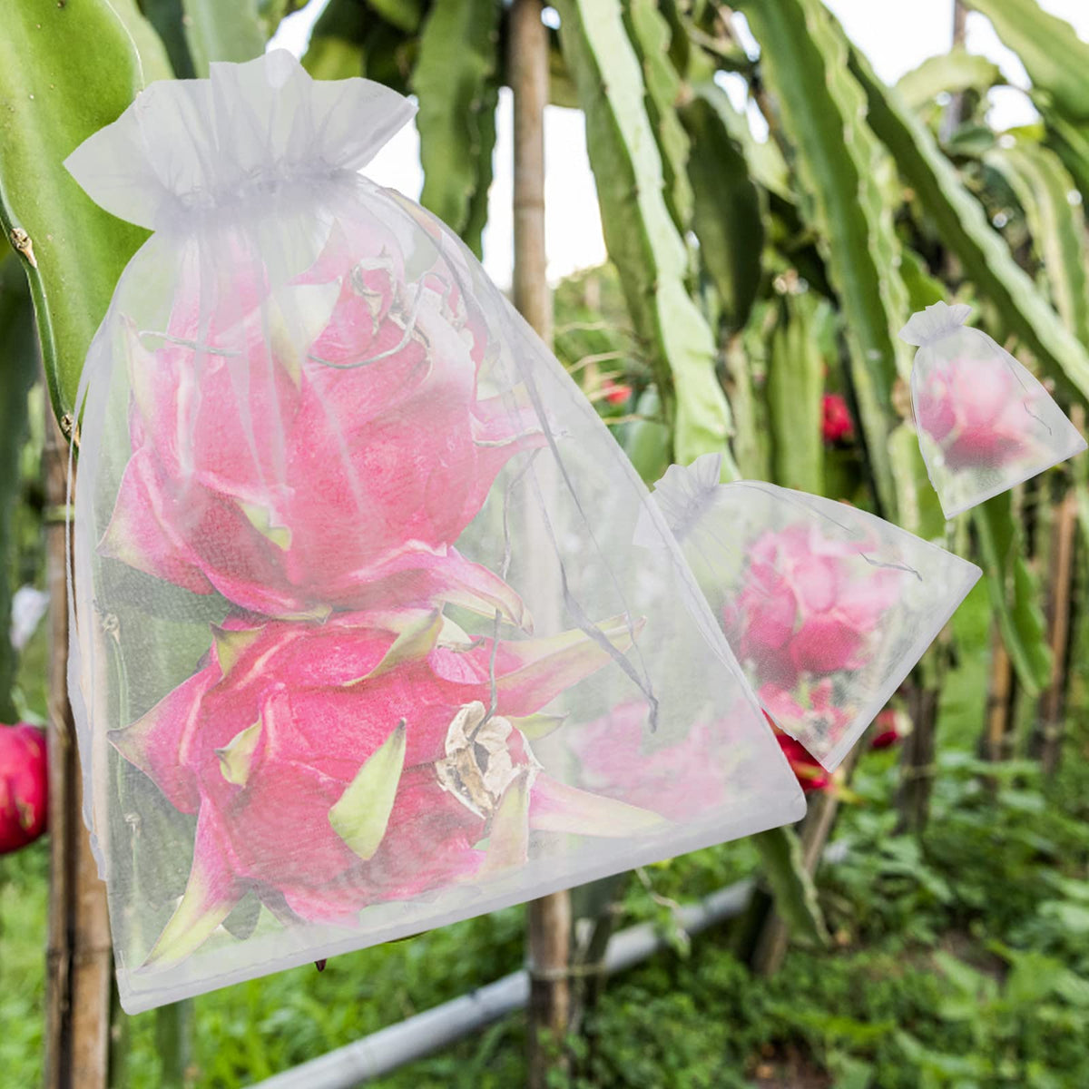 ENNIYU durable polyester fruit bag is lightweight and soft on fruit