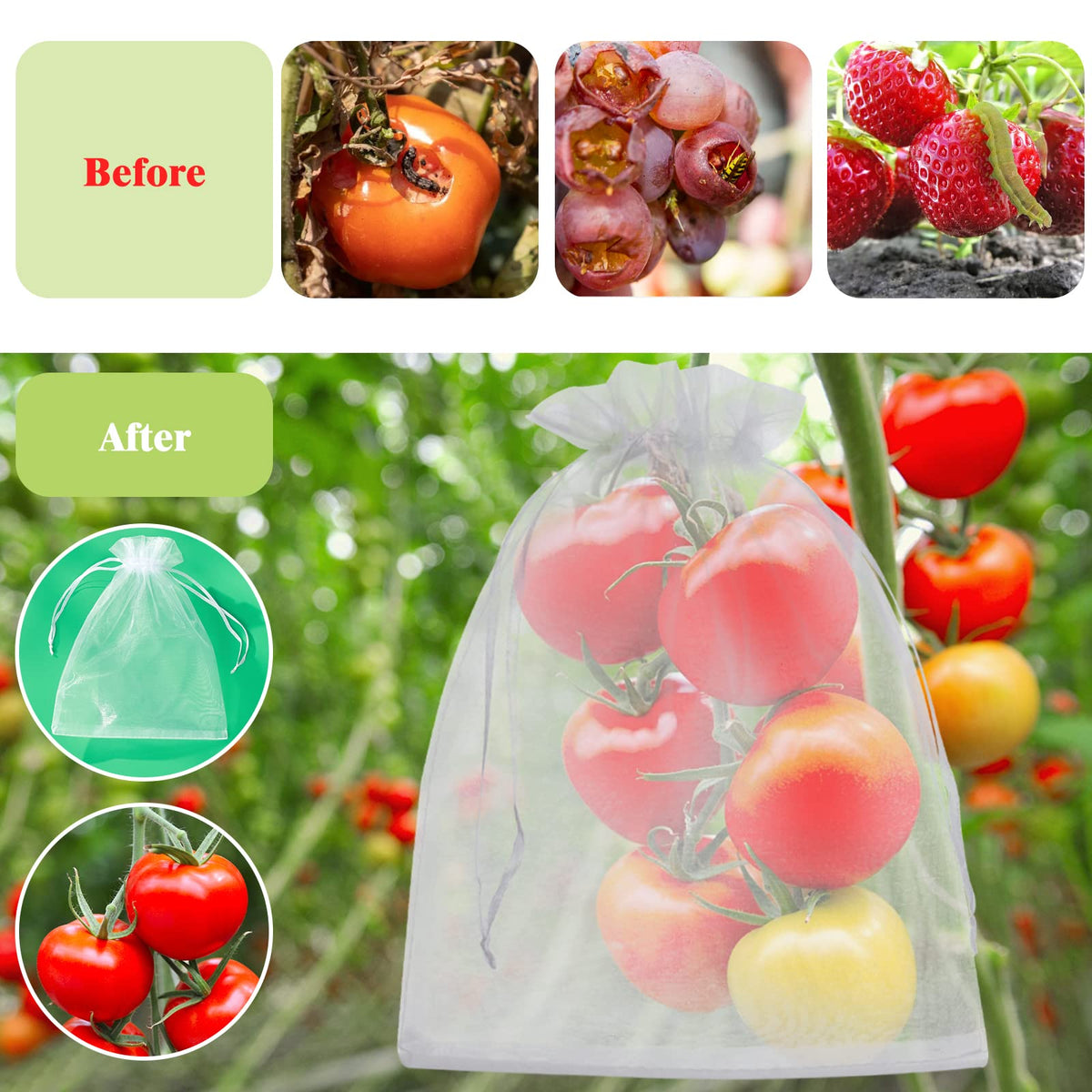 ENNIYU storage bags for seeds and grains in home gardens