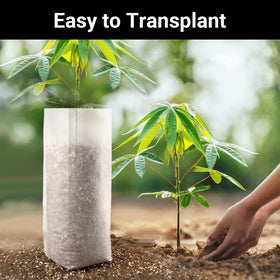 ENPOINT nursery bags for seed starts support efficient transplant readiness