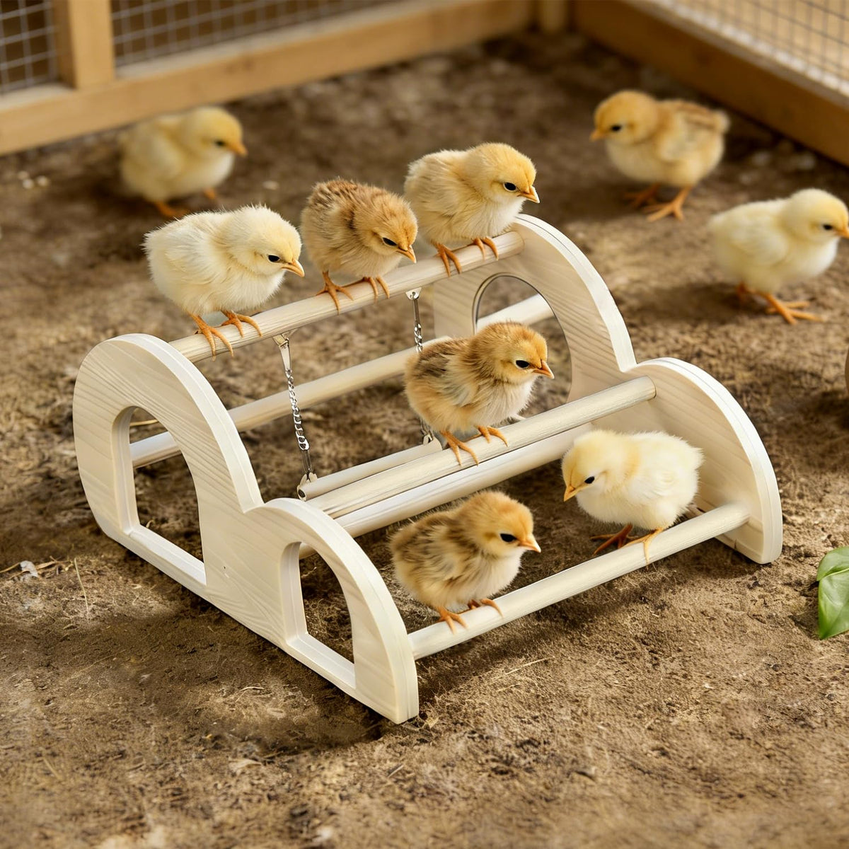 Enrichoice chicken perch with swing and mirror boosts coop activity and curiosity during play.
