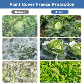 Enrichovo winter frost protection fabric draped over plants for cold season defense.