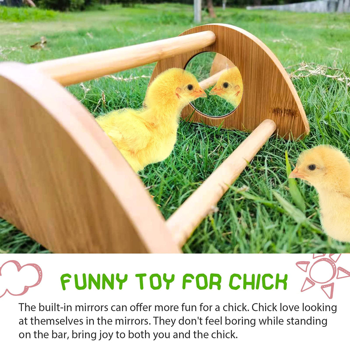 Mirror-installed perch inside a coop adding interactive play for chicks