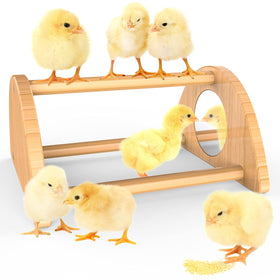 Ensayeer mini chick perch with mirror plates for easy roosting training