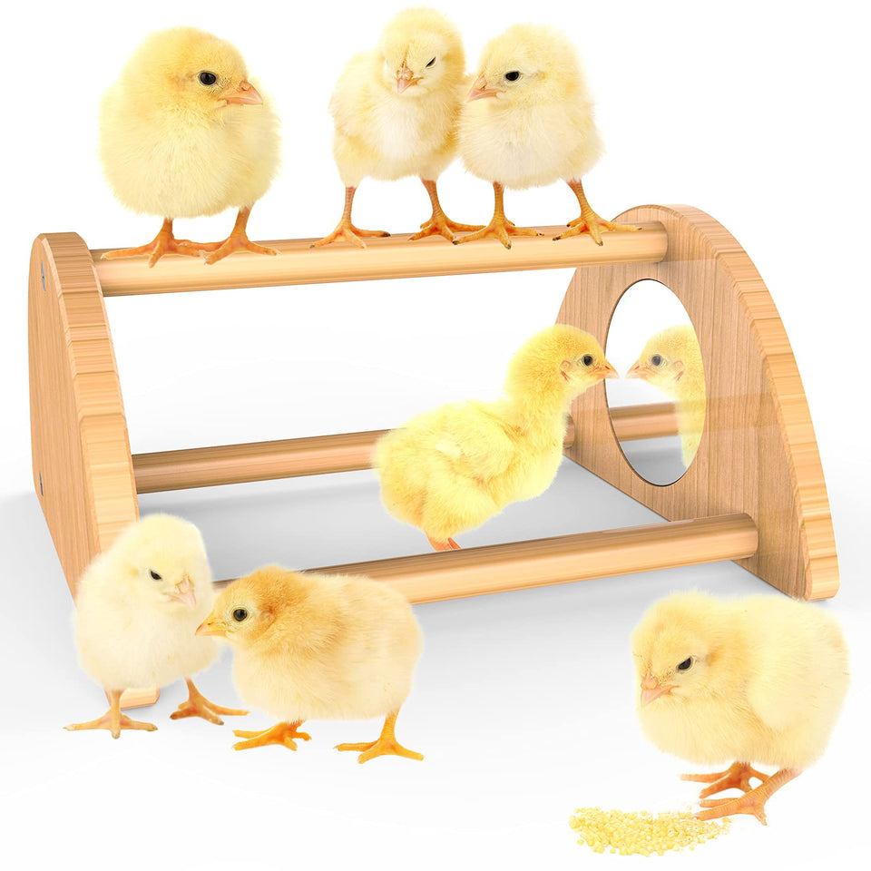 Ensayeer mini chick perch with mirror plates for easy roosting training