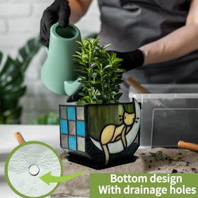 Entlityful moon cat planter displayed on shelf with plants