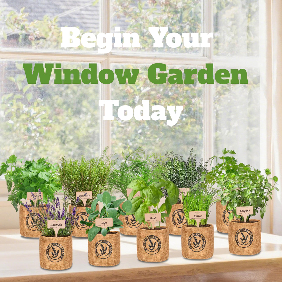 Environet gift-ready packaging makes a thoughtful herb kit present.
