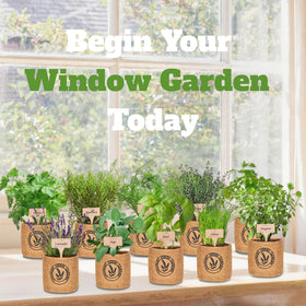 Environet gift-ready packaging makes a thoughtful herb kit present.