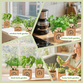 Environet mini garden tools set enables easy planting and maintenance.