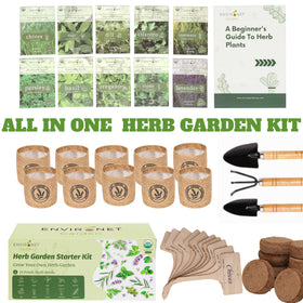 Environet organic herb seeds assortment ready to germinate for flavorful kitchen staples.