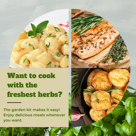Environet step-by-step growing guide simplifies indoor herb planting.