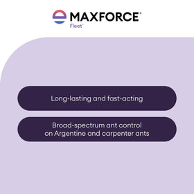 Envu Maxforce Fleet gel applied along a foundation for outdoor protection.