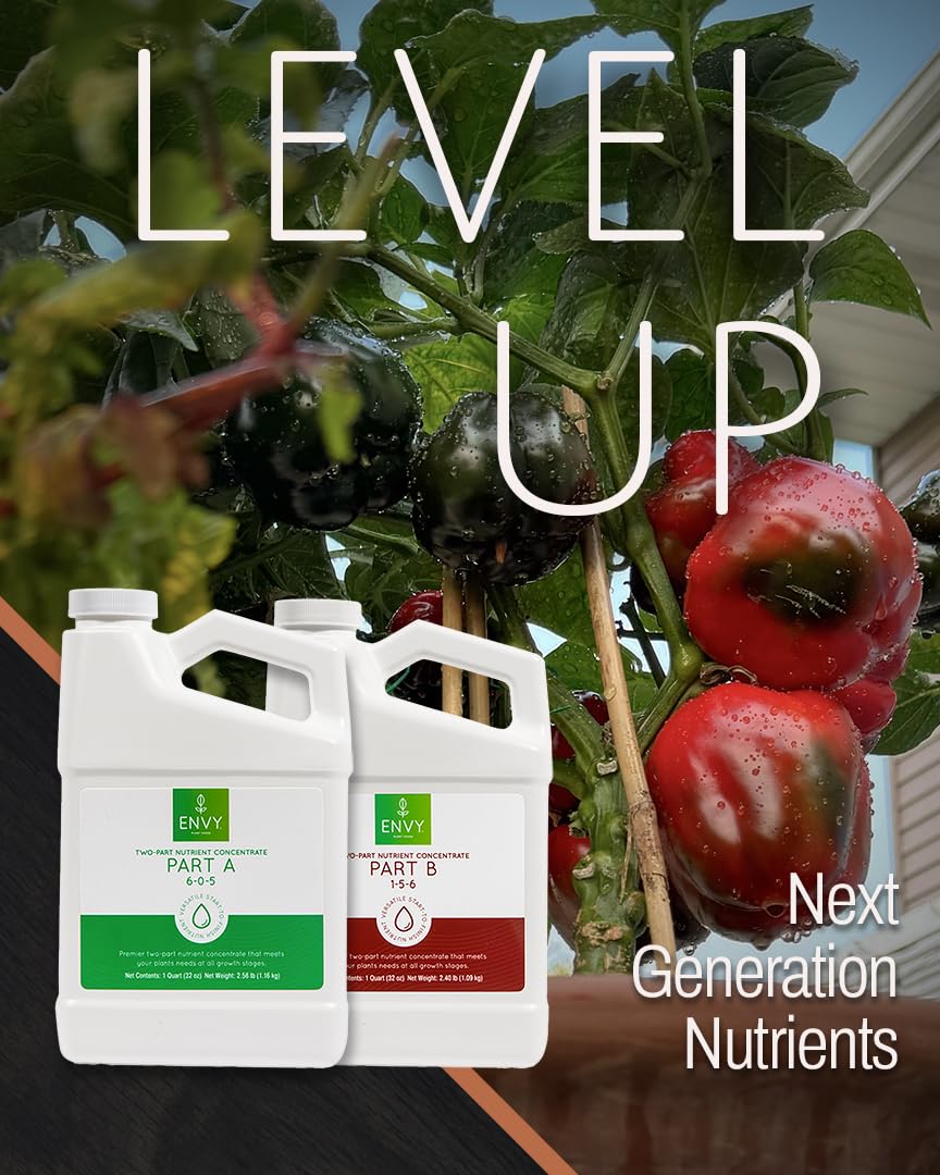 ENVY A & B in a DWC setup, ready for fast nutrient uptake.