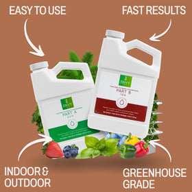 ENVY hydroponic plant food A & B label guiding nutrient choices across media.