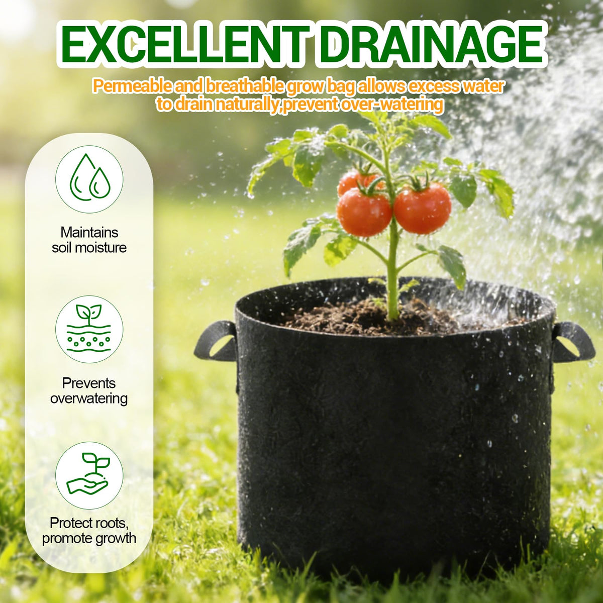 EOKOICA bag illustrating air pruning to support root health and growth.