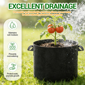 EOKOICA bag illustrating air pruning to support root health and growth.