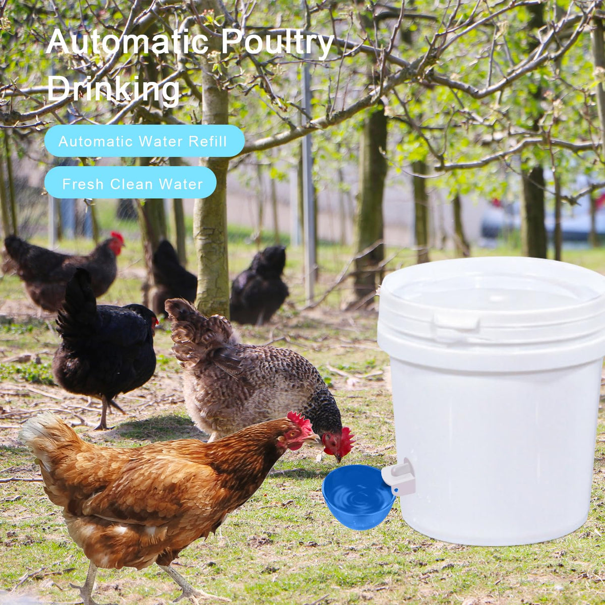 EOKOICA large-capacity cups suit chickens, ducks, geese and turkeys.