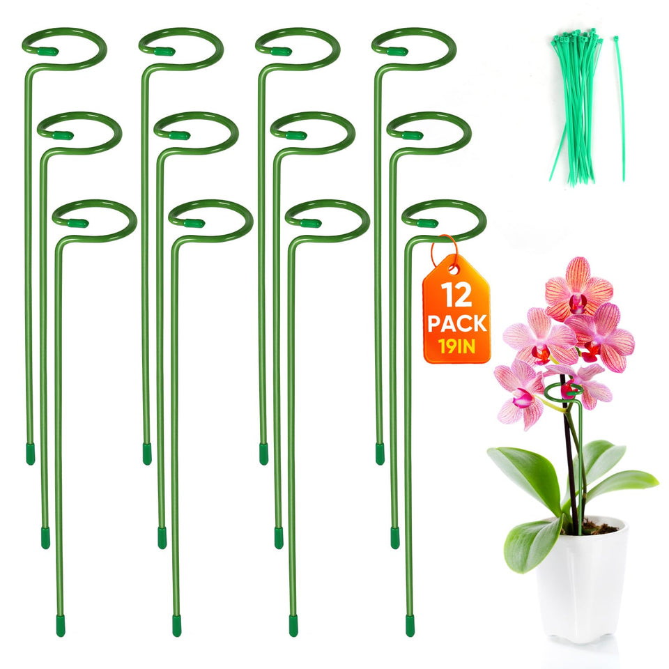 EOMEOH 12-pack stakes with rings gently support stems for upright growth.