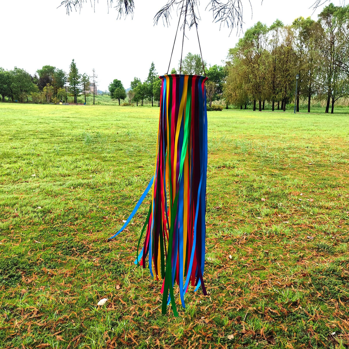 EONBES satin windsock full 49-inch height as outdoor focal point