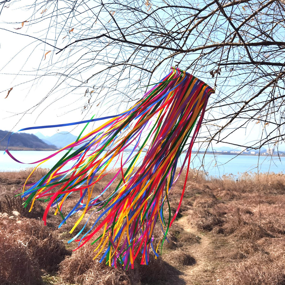 EONBES Windsock dancing in wind enhances outdoor ambience.