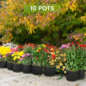 Green line border adds style to organized balcony gardens.