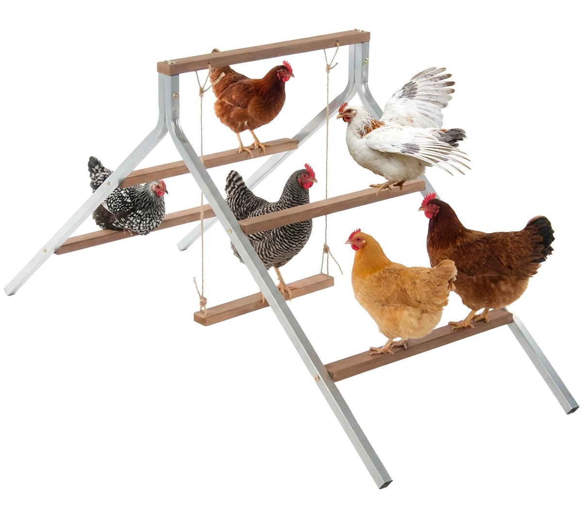 EOWOAN chicken perch with swing in sturdy fir wood provides secure roosting.