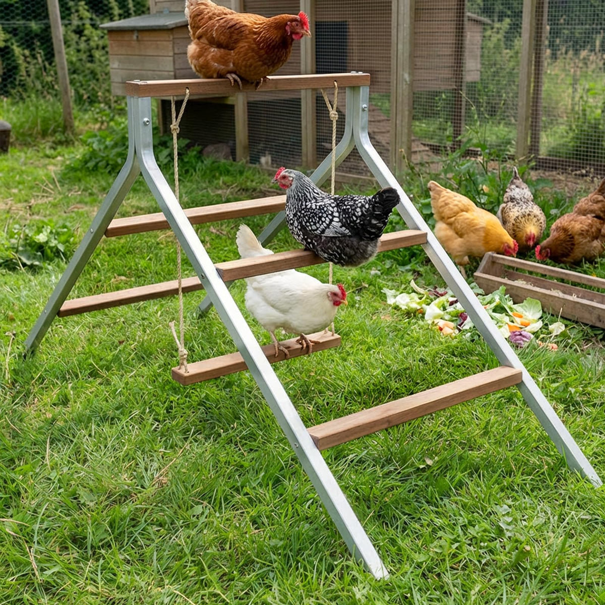 EOWOAN integrated ladder and swing encourage natural activity for chickens.