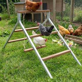 EOWOAN integrated ladder and swing encourage natural activity for chickens.