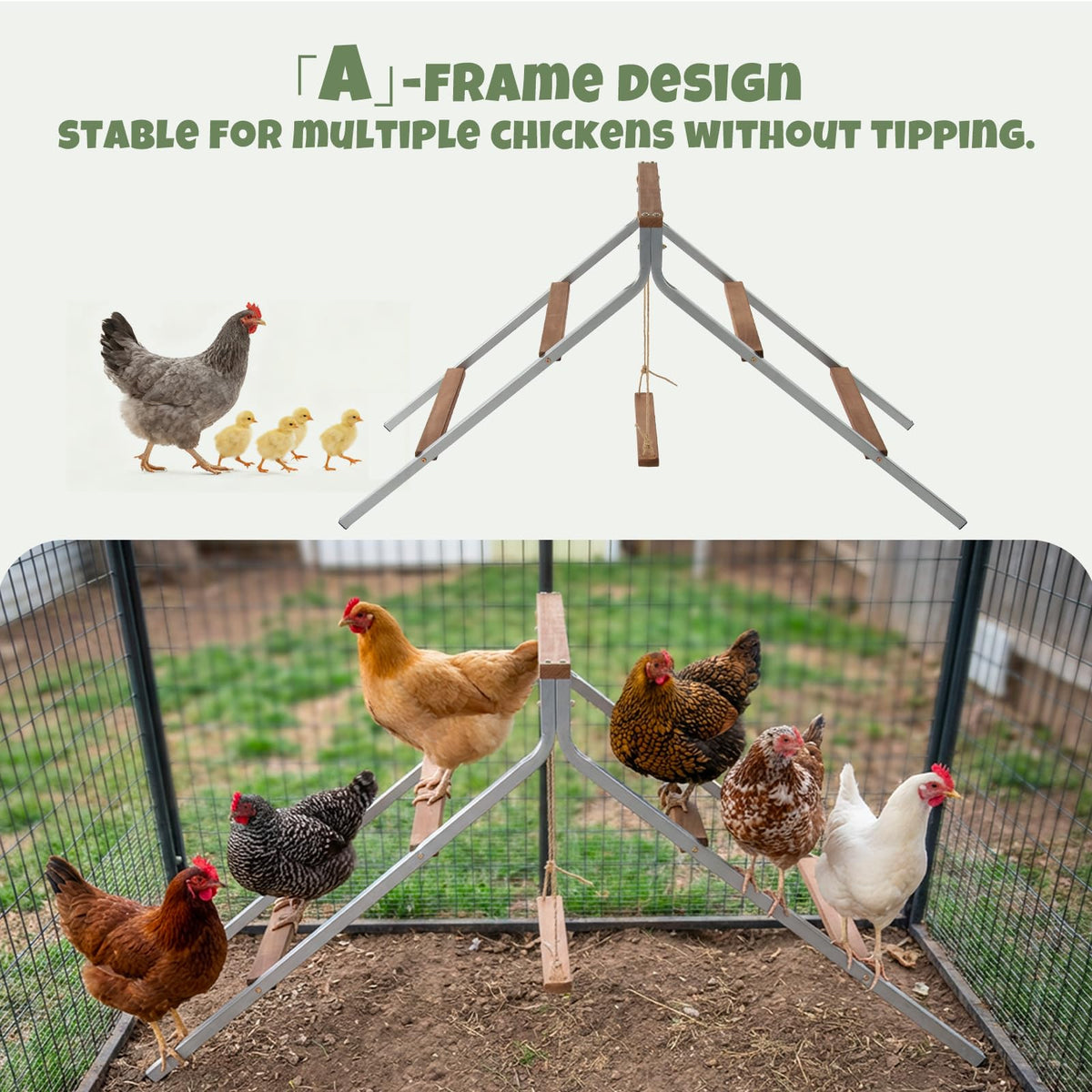 EOWOAN spacious poultry perch supports a small flock during rest and play.