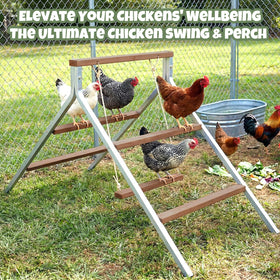 EOWOAN wide square perch offers generous space for multiple birds.