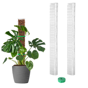 EOX 24-inch moss pole supports Monstera climbing with flat surface for aerial-root attachment.