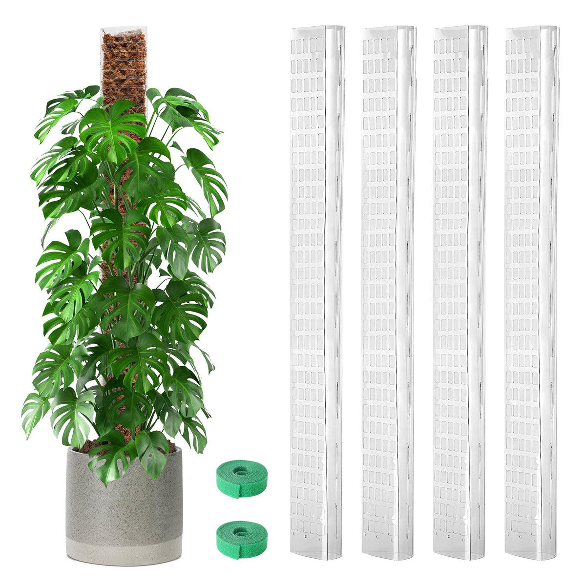 EOX 36-inch D-shaped moss pole provides sturdy vertical support for climbing plants