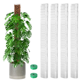 EOX 36-inch D-shaped moss pole provides sturdy vertical support for climbing plants