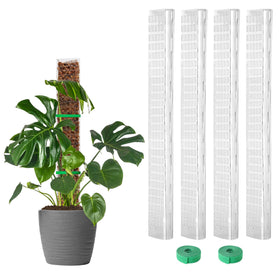 EOX four 24-inch moss poles supporting Monstera growth and vertical training