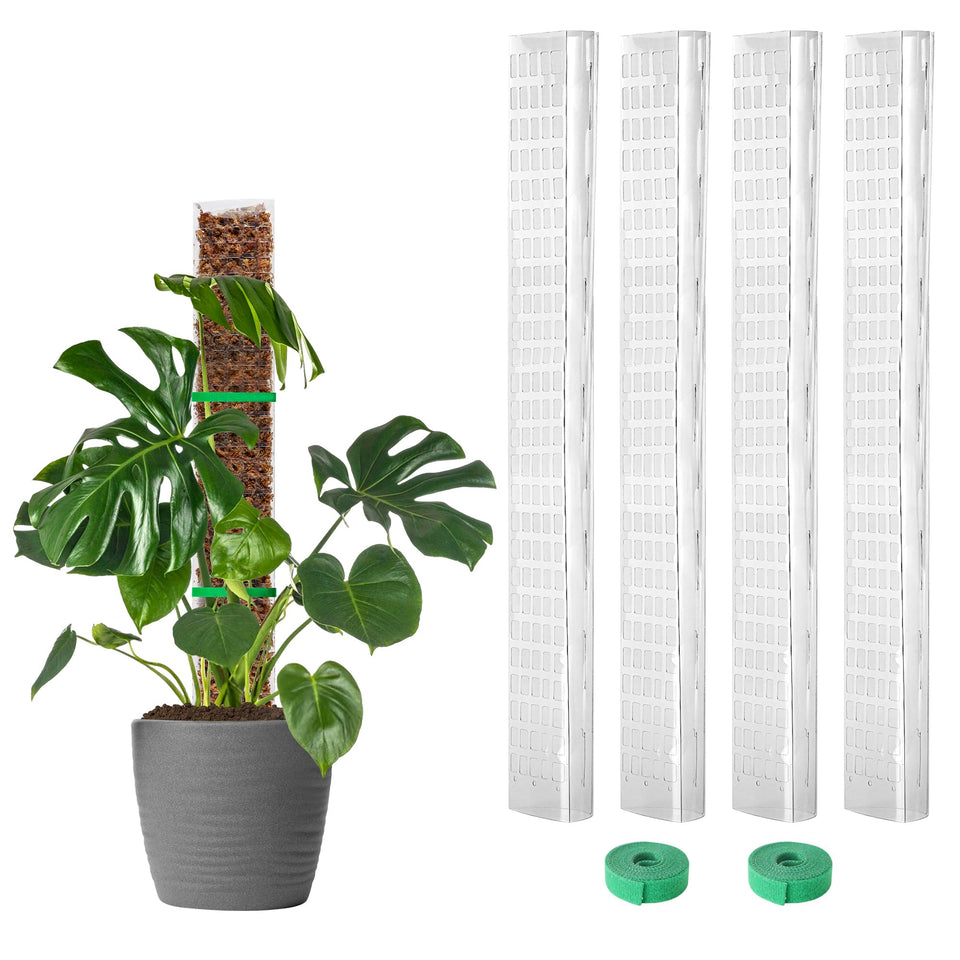 EOX four 24-inch moss poles supporting Monstera growth and vertical training