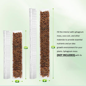 EOX 24-inch D-shaped moss pole with flat surface for aerial roots.