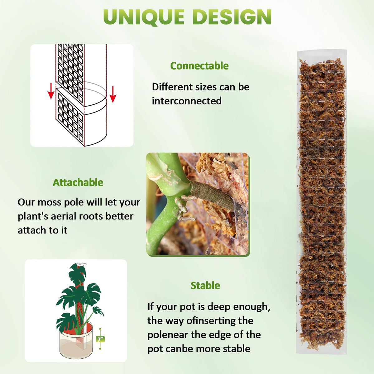EOX 36-inch D-shaped moss pole provides extra height and stability.