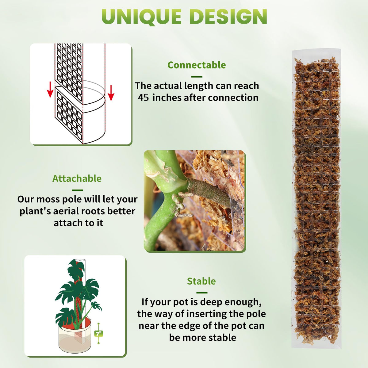 EOX D-shaped moss pole assembly showing flat surface for root attachment