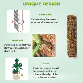 EOX flat D-shape pole surface emphasizes durable, rot-resistant plastic.