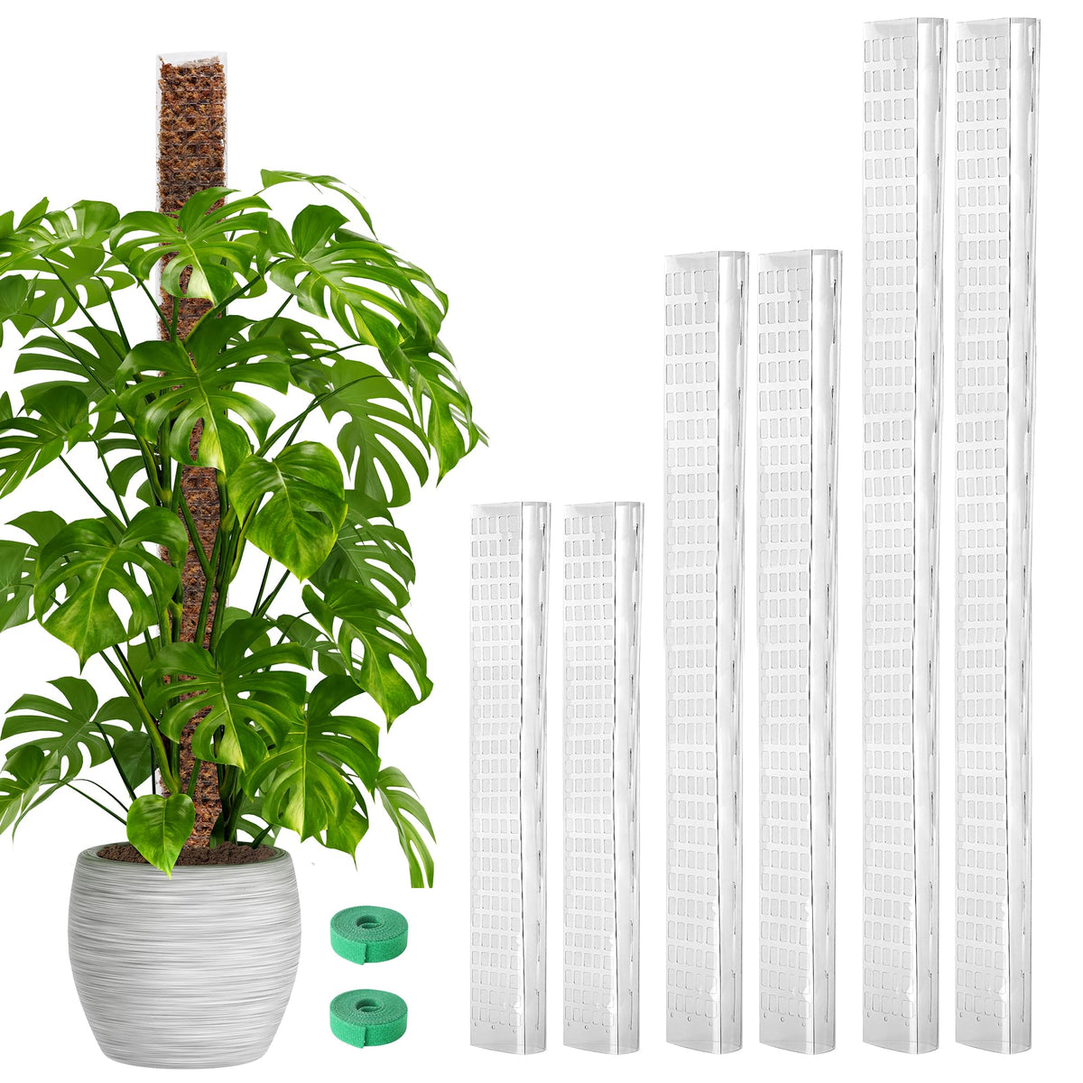 EOX Moss Pole Set with 24, 36, and 48 in poles supports upward growth.
