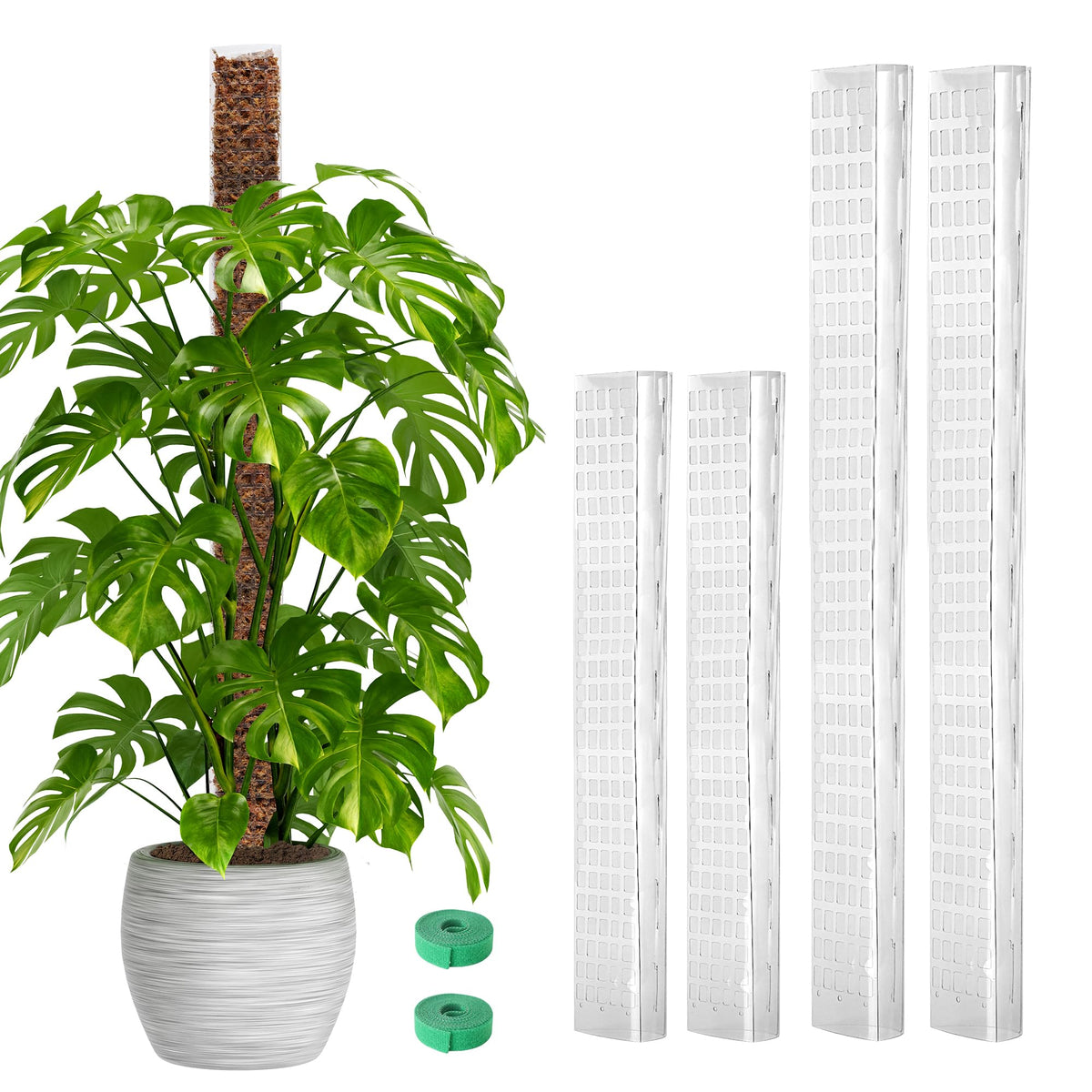 EOX moss pole 24–36 inch set ready to guide climbing plants.