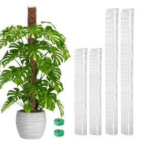 EOX moss pole 24–36 inch set ready to guide climbing plants.